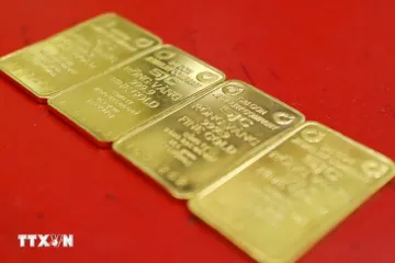 Giá vàng ngày 19/6: Bảng giá tại các công ty vàng bạc đá quý