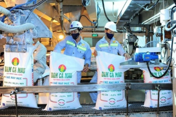 DCM chốt chi hơn 1,000 tỷ đồng cổ tức trong tháng 7