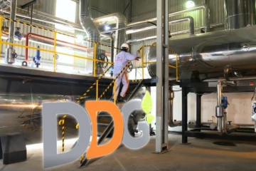 Chỉ hơn 13% cổ đông tham dự, đại hội DDG bất thành