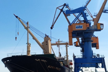 Nhóm NTL và người nhà lãnh đạo DXP gia tăng sở hữu trước kế hoạch chào bán gần 29 triệu cp