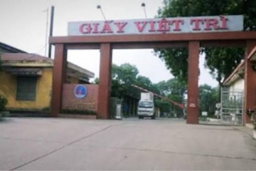 GVT chi thêm 34.8 tỷ đồng cổ tức, tổng tỷ lệ năm 2025 đạt 60%