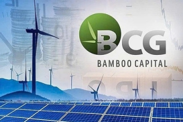 BCG và TCD chính thức hủy niêm yết từ 15/07