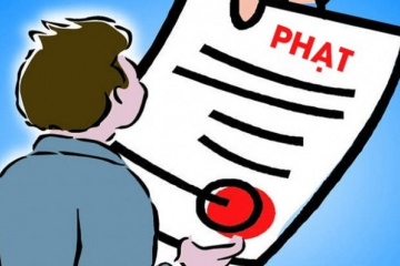 RCD bị xử phạt vi phạm công bố thông tin