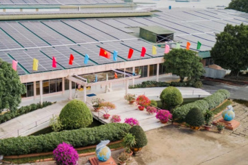 Chi phí ồ ạt tăng khiến lợi nhuận quý 2 của ANV giảm 60%