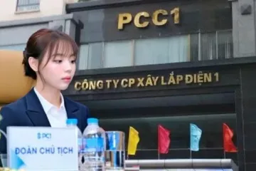 PC1 có nữ chủ tịch 27 tuổi, ông lớn hạ tầng CII nói gì về việc tăng sở hữu?