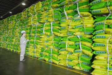 DPM lãi quý 2 gấp 2.2 lần, vượt 95% kế hoạch năm