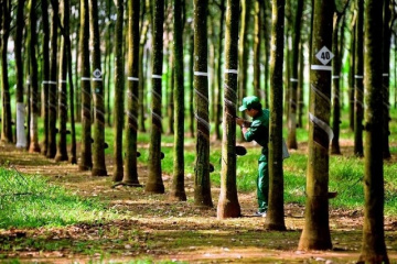TRC chốt chi cổ tức 3,000 đồng/cp vào tháng 9