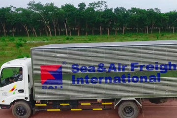 SAFI hoàn tất phát hành 335,000 cổ phiếu ESOP, nâng vốn lên gần 264 tỷ