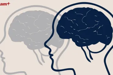 Phát triển mô hình AI giải mã “ngôn ngữ của não bộ”