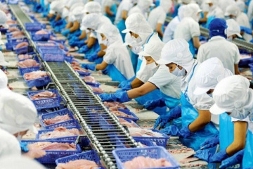 Doanh thu Vĩnh Hoàn nhích tăng trong tháng 8, giá cổ phiếu vẫn miệt mài đi xuống