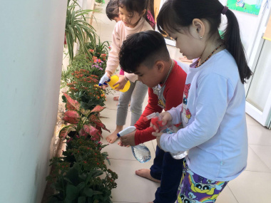 Học sinh lớp mẫu giáo lớn A4 chăm sóc cây tại góc thiên nhiên của lớp. Tạo niềm đam mê yêu lao động.