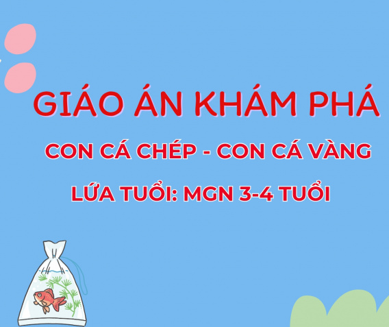 Giáo án