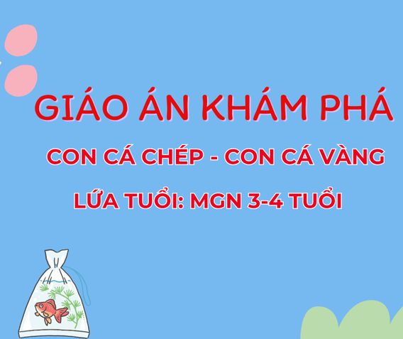Giáo án