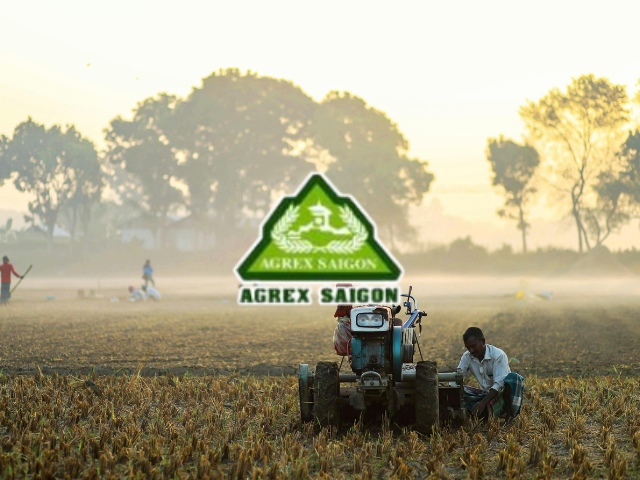 AGX tính hủy tư cách đại chúng, dự kiến cổ tức 2025 bằng tiền tỷ lệ 30%