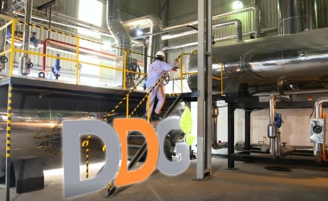 Chỉ hơn 13% cổ đông tham dự, đại hội DDG bất thành