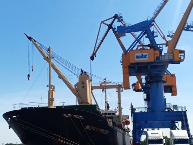 Nhóm NTL và người nhà lãnh đạo DXP gia tăng sở hữu trước kế hoạch chào bán gần 29 triệu cp
