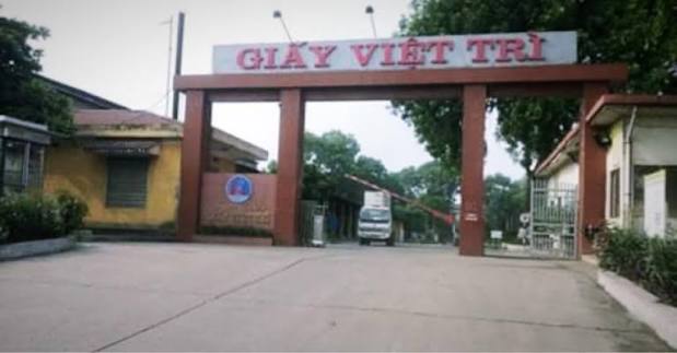 GVT chi thêm 34.8 tỷ đồng cổ tức, tổng tỷ lệ năm 2025 đạt 60%