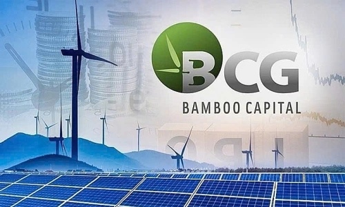 BCG và TCD chính thức hủy niêm yết từ 15/07