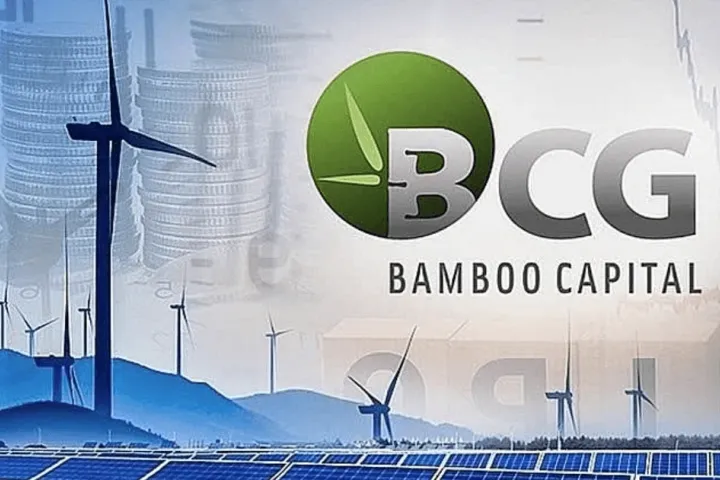 Từ doanh nghiệp nghìn tỷ đến hủy niêm yết: Điều gì xảy ra với Bamboo Capital?