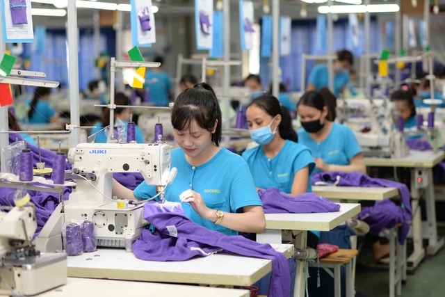 Dệt may Hà Nội bị phạt và truy thu thuế hơn 200 triệu, buộc giảm lỗ gần 35 tỷ