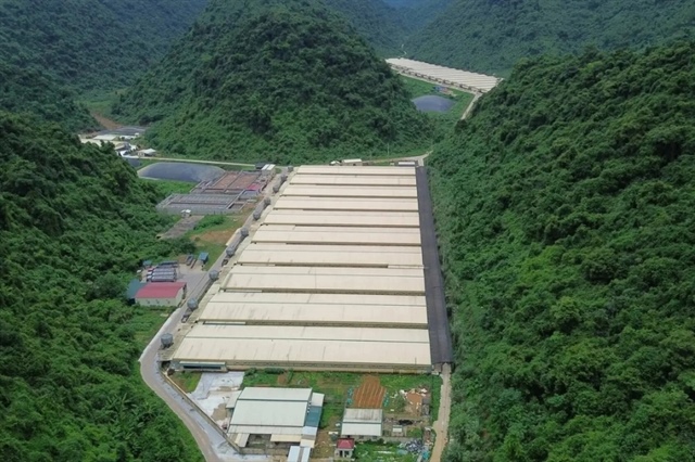 Dabaco thông tin về vụ tai nạn khiến 5 người tử vong tại trại heo Thanh Hóa