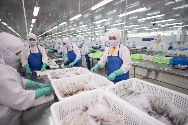 Lợi nhuận hãng tôm Sao Ta tăng 92% trong quý 2 nhờ giá nguyên liệu giảm