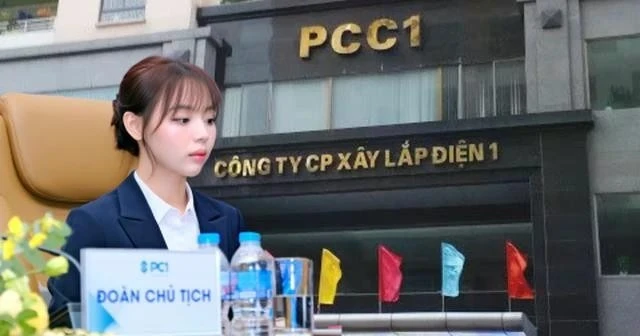 PC1 có nữ chủ tịch 27 tuổi, ông lớn hạ tầng CII nói gì về việc tăng sở hữu?