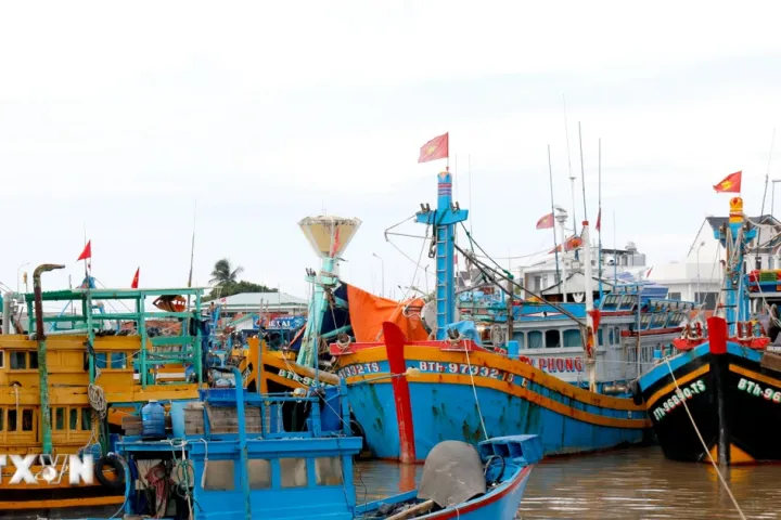 Phát hiện thủ đoạn tháo, gửi VMS để đối phó giám sát chống khai thác IUU