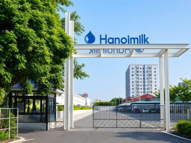Hai lãnh đạo Hanoimilk liên tục hoán đổi vị thế sở hữu hàng chục triệu cổ phiếu
