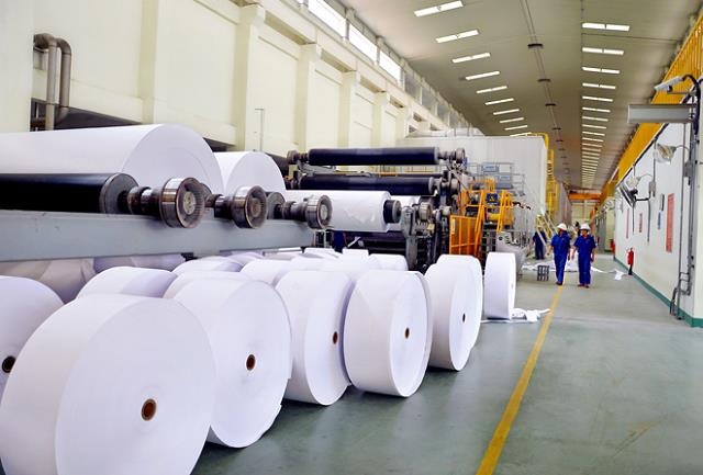 Lãnh đạo Hapaco cùng công ty riêng gom thêm cổ phiếu
