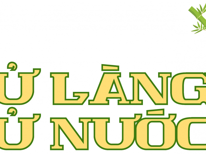 Sử làng sử Việt - VinIf