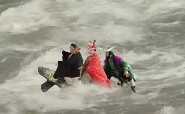 Phỏng vấn một cụ rùa