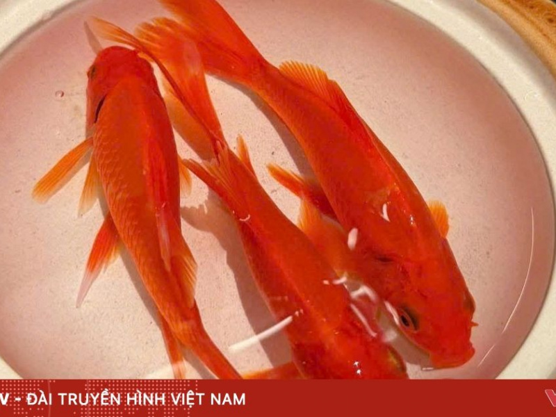 Tết Ông Công Ông Táo hay Tết Thần Bếp: Bếp còn ấm là nhà còn an