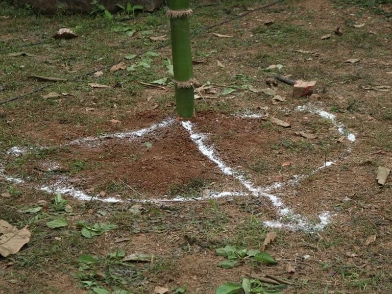 Tục vẽ vôi trừ tà - Khảo cứu văn hóa