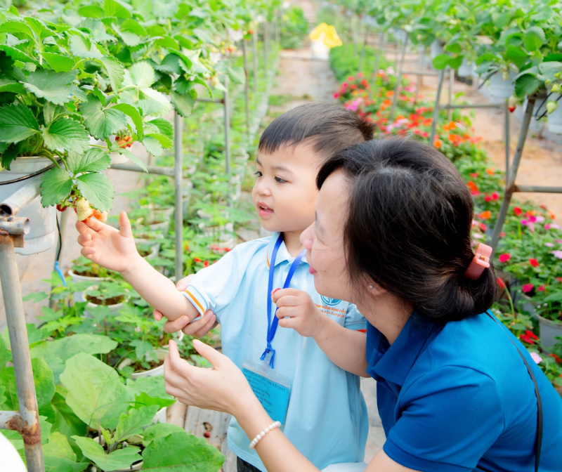 “HOẠT ĐỘNG TRẢI NGHIỆM THÚ VỊ VÀ BỔ ÍCH CỦA CÁC BẠN NHỎ KHỐI NHÀ TRẺ VÀ KHỐI MẪU GIÁO BÉ TRƯỜNG MẦM NON CỔ LOA”