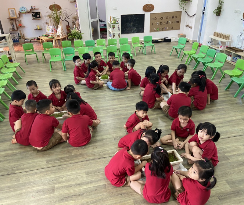 Khối mẫu giáo lớn thực hiện dự án " Hương cốm mới " với những trải nghiệm đầy thú vị, hào hứng