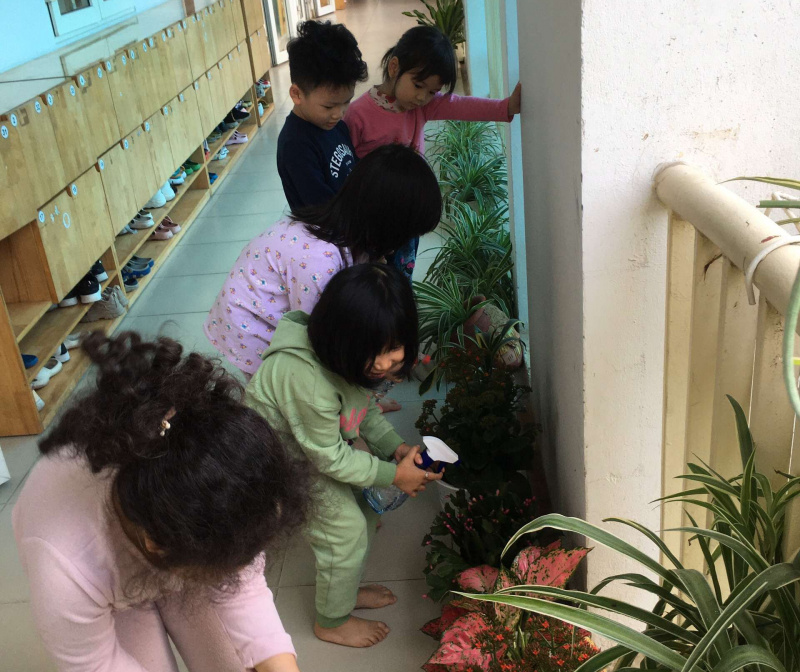 Cùng các bé mẫu giáo lớn A4 giúp cô sắp xếp các chậu hoa cây xanh sau dịp tết.