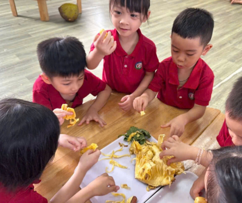 Học sinh lớp A1 đến với giờ học : Khám phá quả mít