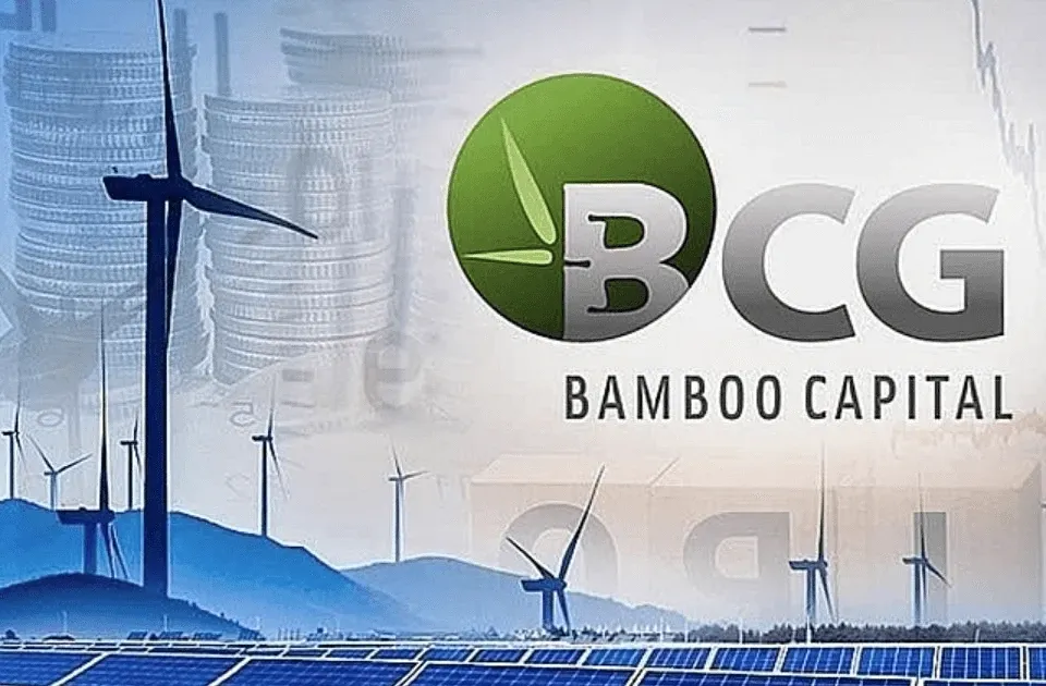 Từ doanh nghiệp nghìn tỷ đến hủy niêm yết: Điều gì xảy ra với Bamboo Capital?