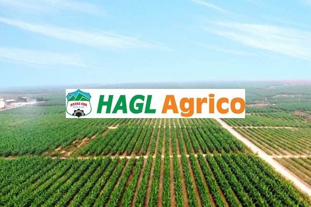 Nông nghiệp HAGL sáp nhập 3 công ty con tại Lào