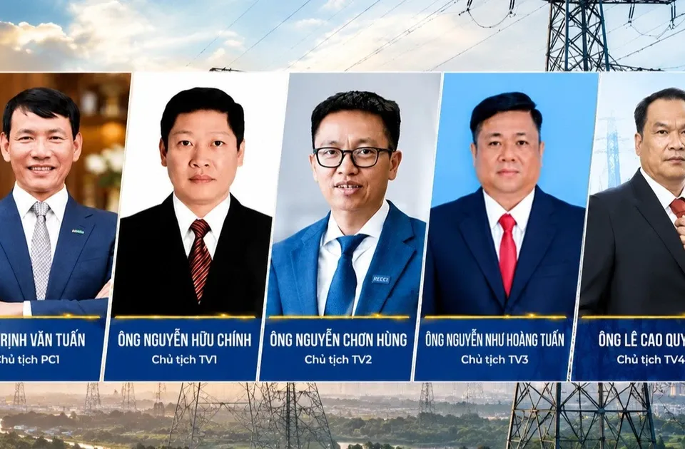 Hàng loạt doanh nghiệp điện làm ăn ra sao sau khi lãnh đạo bị bắt?