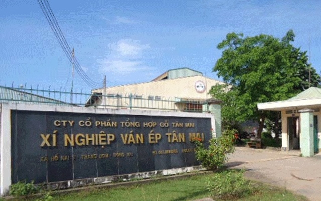 Gỗ Tân Mai thay Kế toán trưởng sau 1 năm