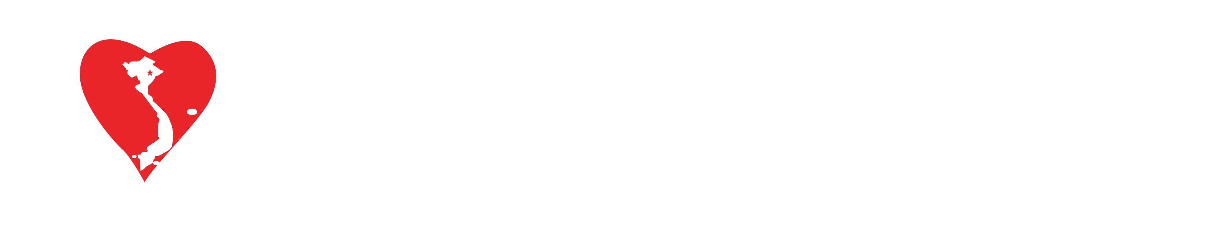 Hội Tim mạch học Việt Nam